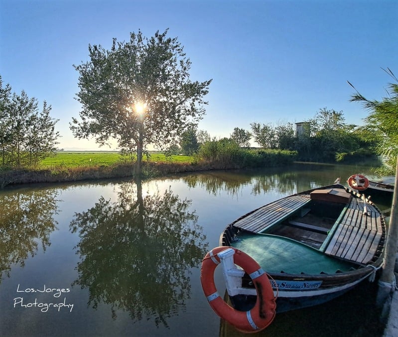 El mejor restaurante donde comer cerca de la Albufera 