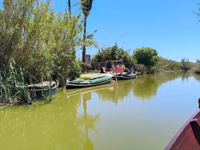 Descubre donde comer cerca de la Albufera