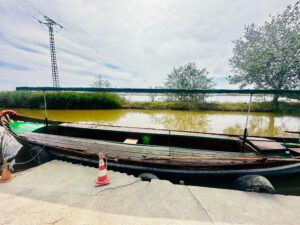 Donde comer cerca de La Albufera de calidad